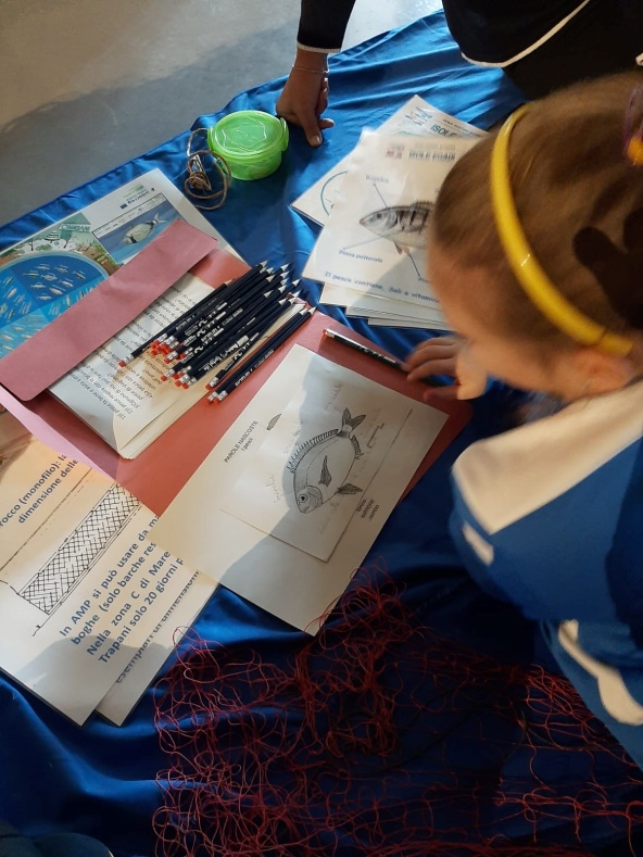 Children drawing marine life at AMPPA education activity